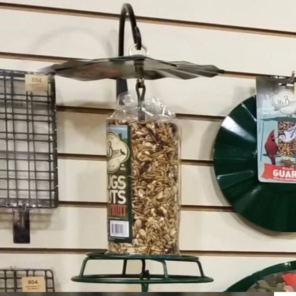 Mr. Bird 9.5" Powder Coated Steel Rain Guard Bird Feeder Cover - Picture 2 of 5